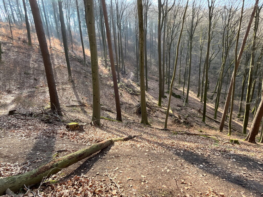 23-03-03 13-10-42 4636